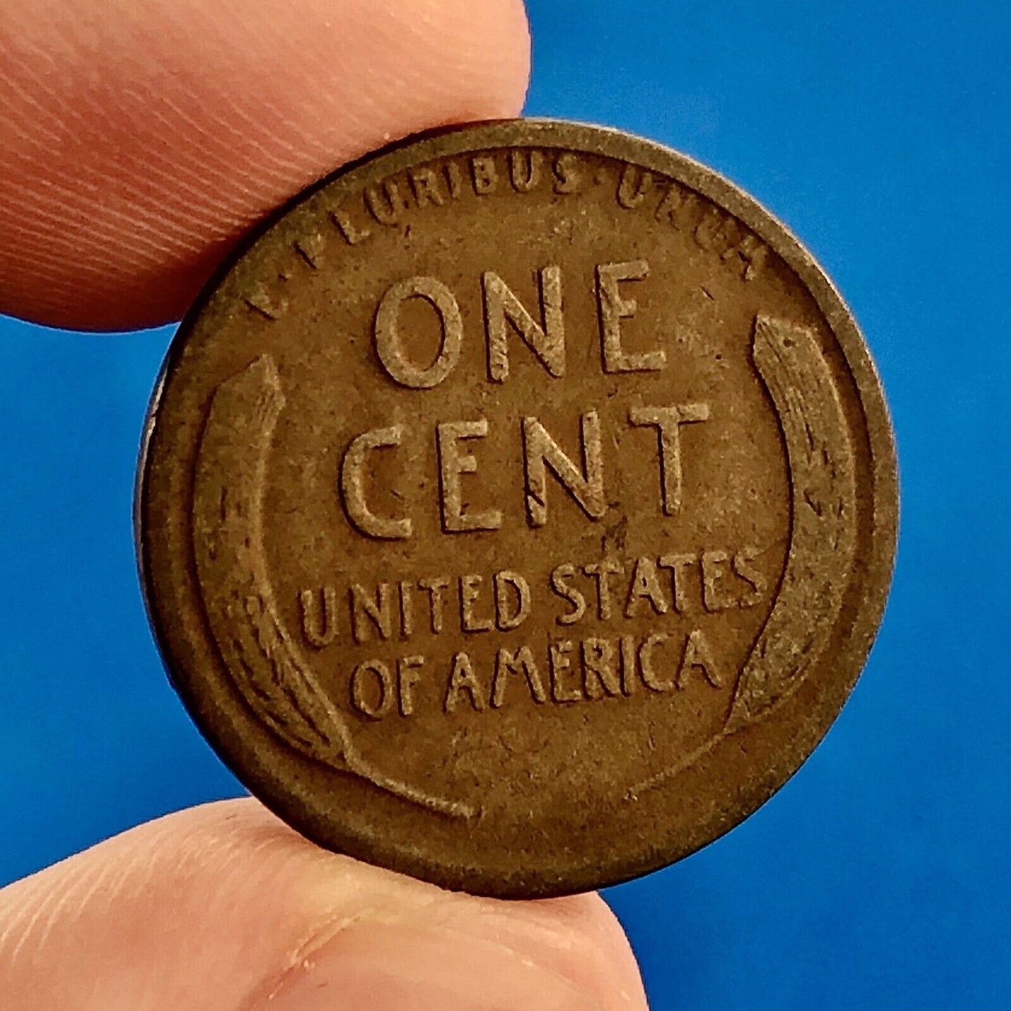 1922 D Lincoln Cent Wheat Ears Reverse Key Rare 1c Cent Penny Denver Coin