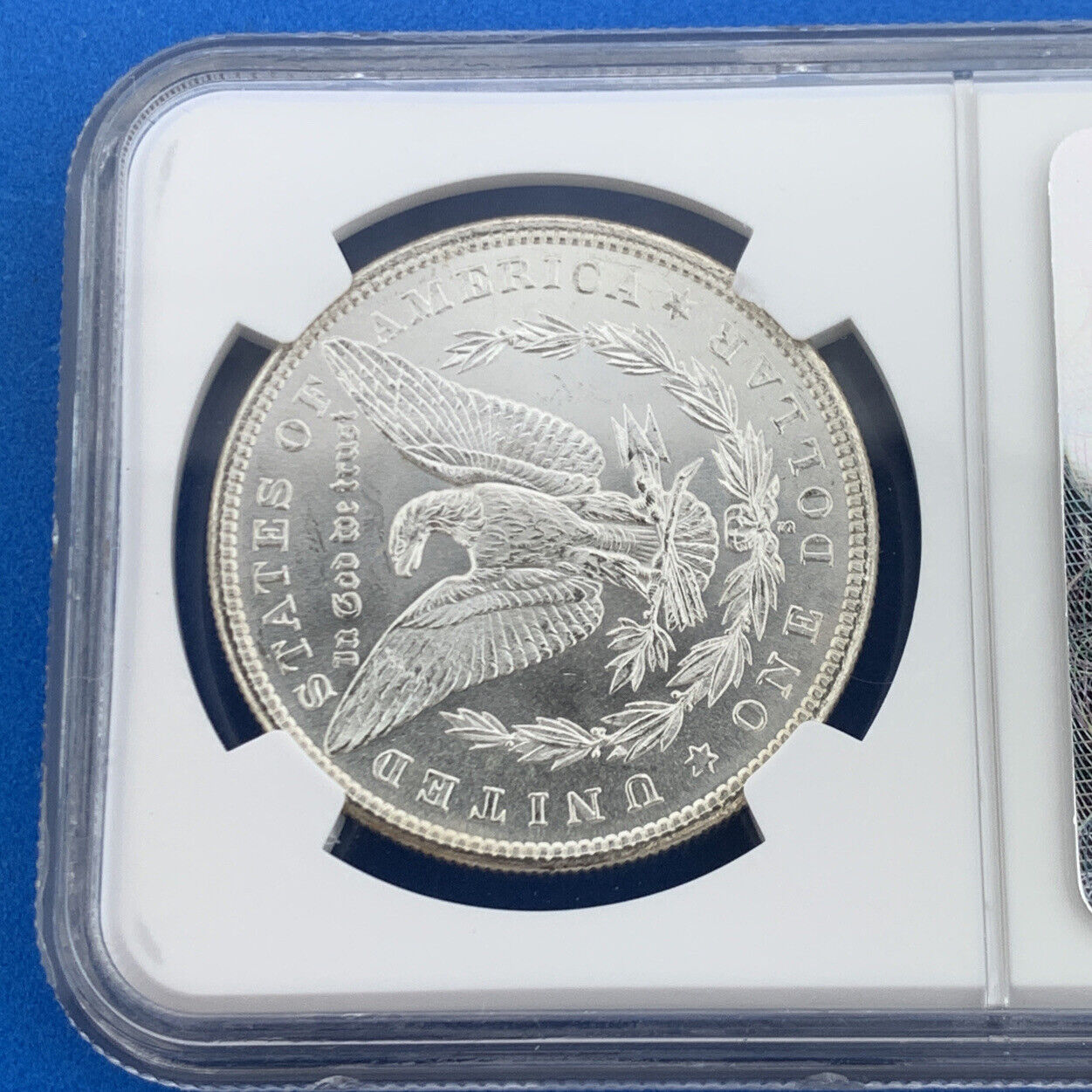 1881 S Morgan Silver Dollar Better Key San Francisco NGC MS66 High Grade Coin