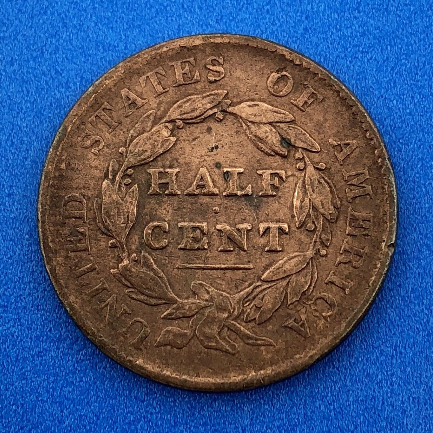 1828 P Classic Head Thirteen Stars Copper Half Cent Early US Copper XF Details
