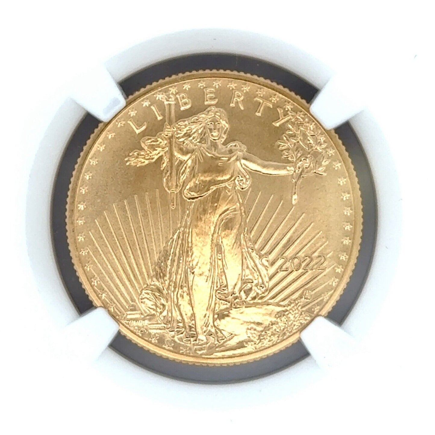 2022 1/2 oz American Gold Eagle MS-70 NGC (Early Release) Mike Castle Signature