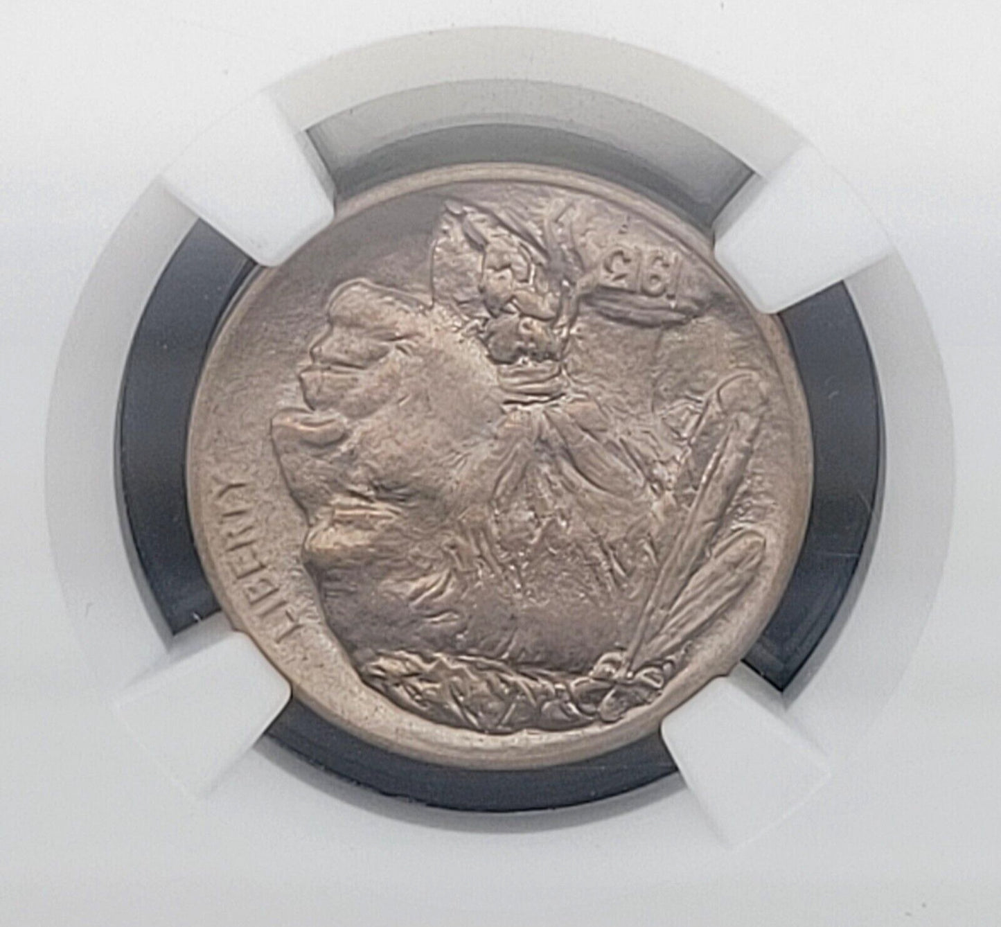 1913 P 5c Philadelphia Mint NGC MS66 Type I Buffalo Nickel Rare American Coin