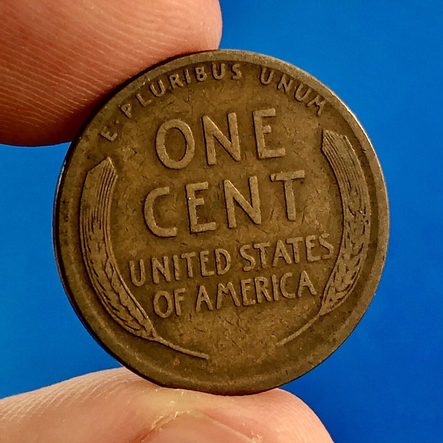 1915 S Lincoln Cent Wheat Ears Reverse Key Rare 1c Cent Penny San Francisco Coin