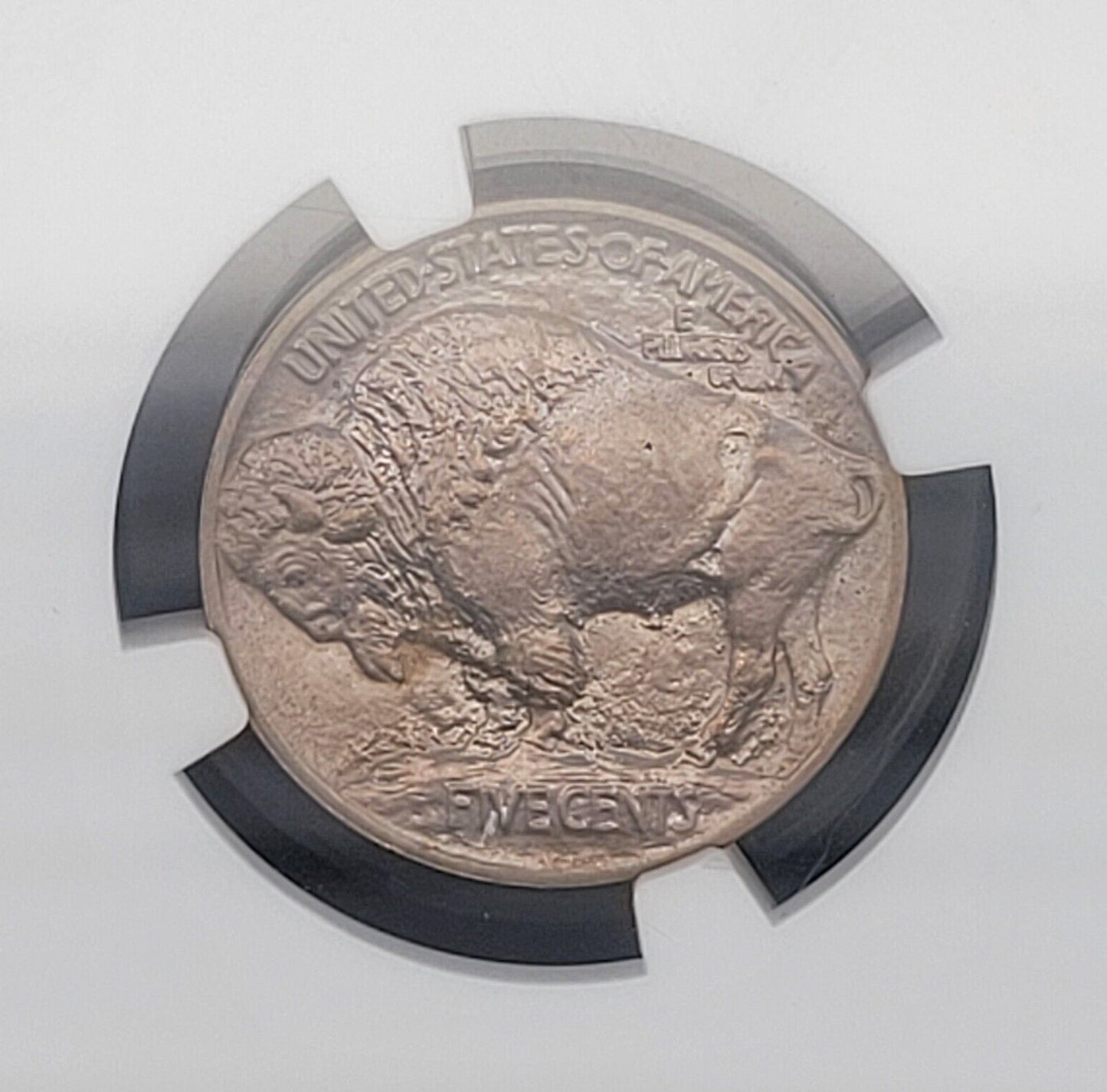 1913 P 5c Philadelphia Mint NGC MS66 Type I Buffalo Nickel Rare American Coin