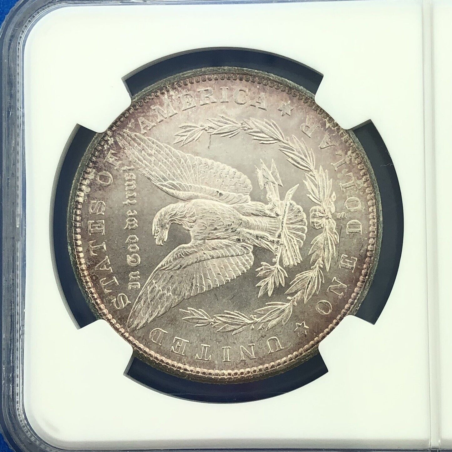1880 S Morgan Silver Dollar Better Key San Francisco Sunset Tones NGC MS64 Coin