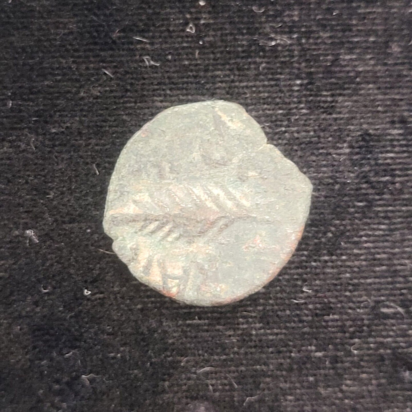 59-62 AD Porcius Festus Bronze Prutah of Judea Ancient Roman Coin *PRICED BY CAM