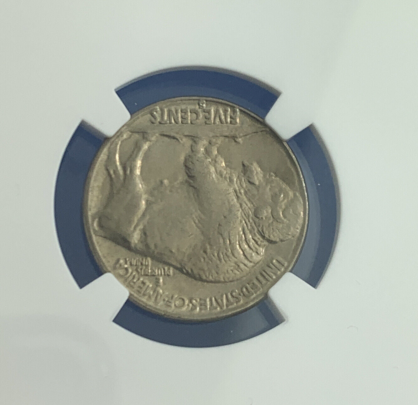 1928 S San Francisco 5c Buffalo Nickel NGC MS 64 Better Date American Coin
