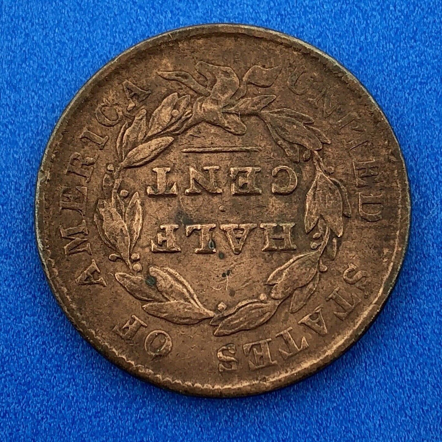 1828 P Classic Head Thirteen Stars Copper Half Cent Early US Copper XF Details