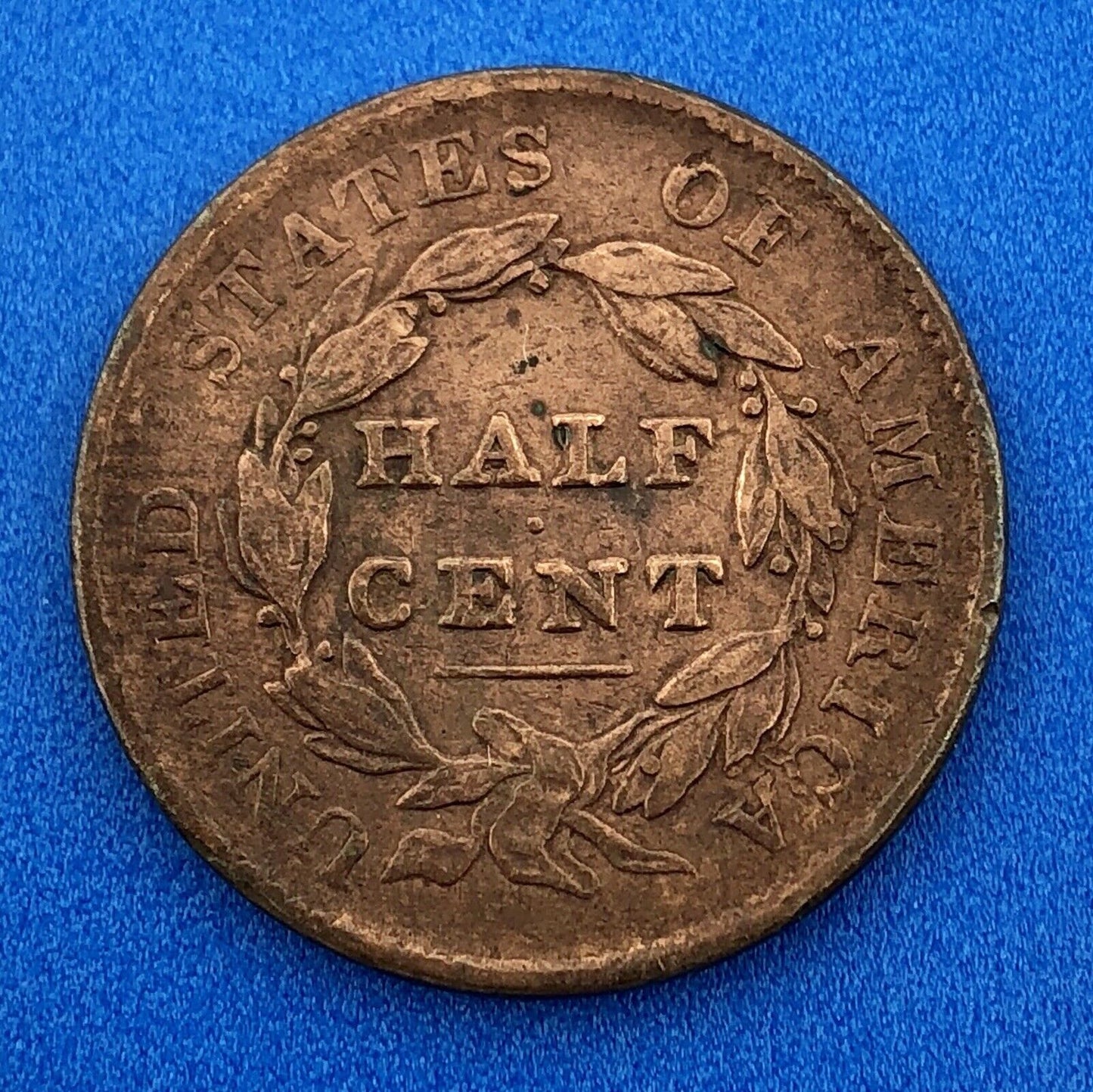1828 P Classic Head Thirteen Stars Copper Half Cent Early US Copper XF Details