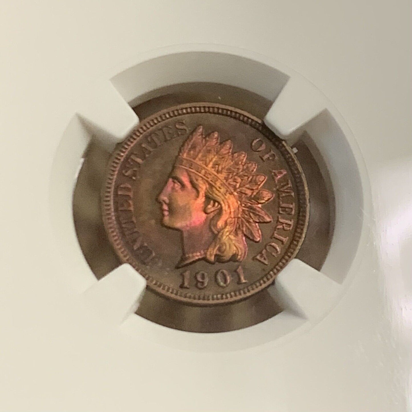 1901 P Proof Bronze Indian Head Cent Altered Color NGC Proof Details Coin
