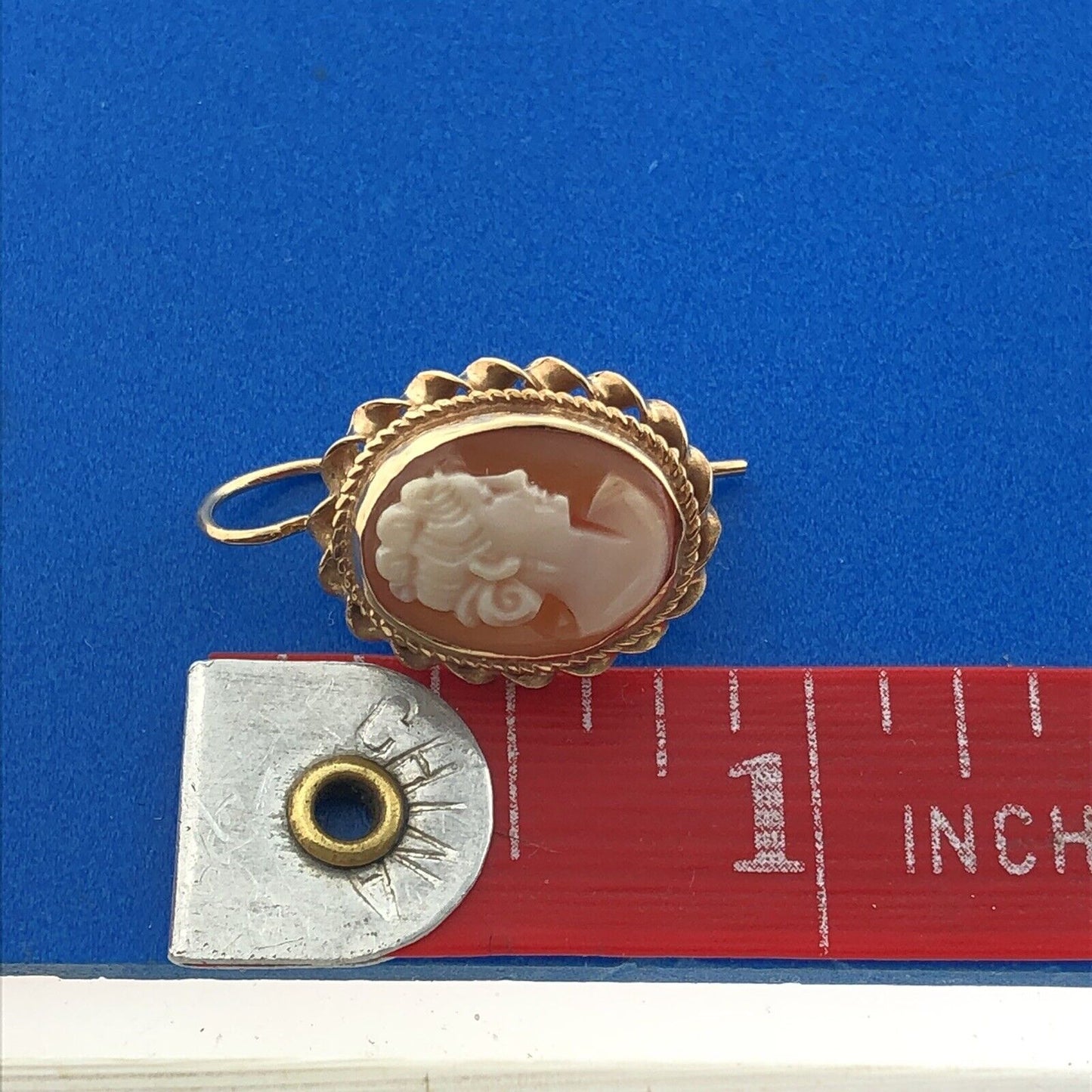 Gorgeous 14k Yellow Gold Orange Peach Cameo Shell French Wire Hook Earrings