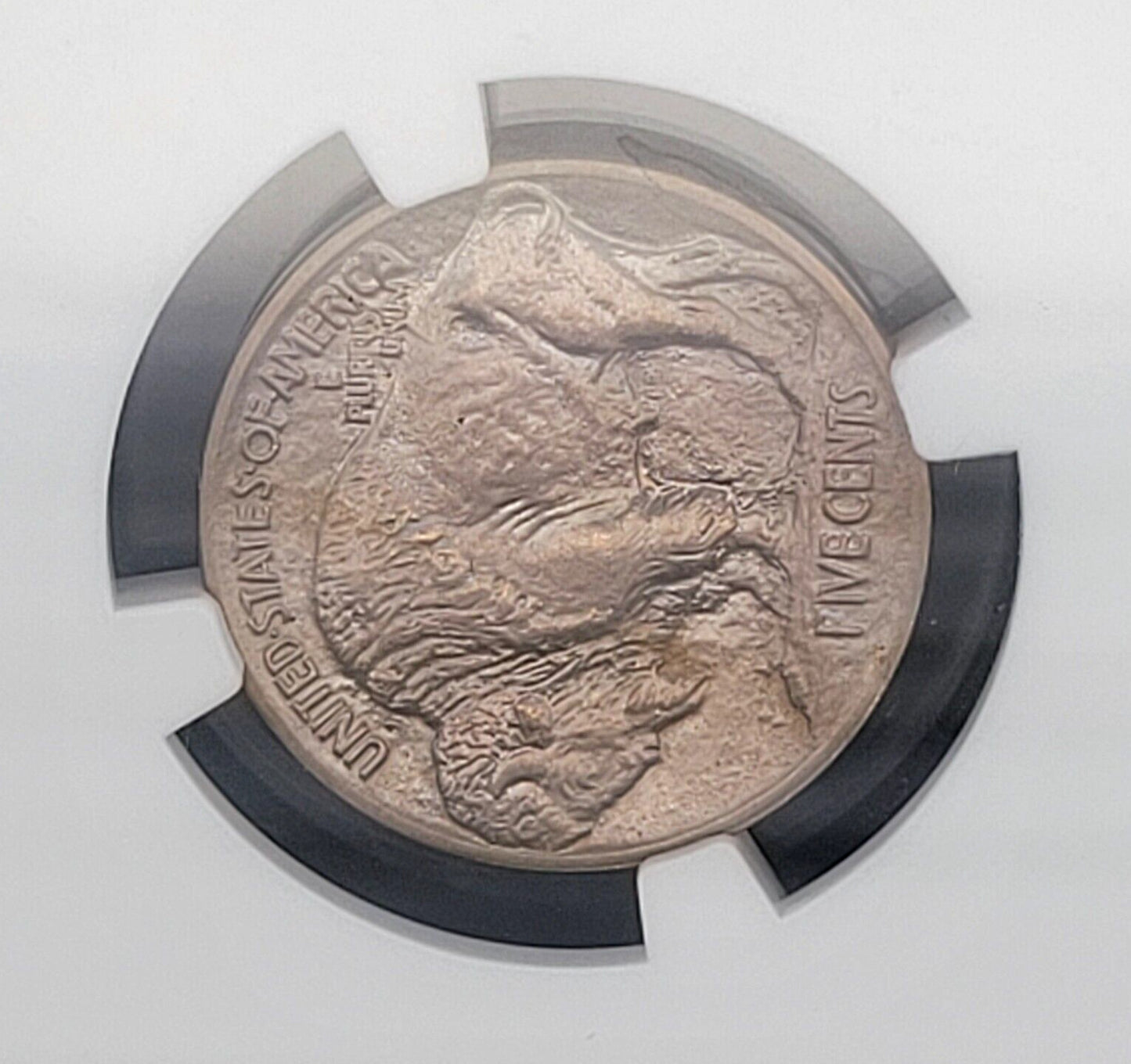 1913 P 5c Philadelphia Mint NGC MS66 Type I Buffalo Nickel Rare American Coin