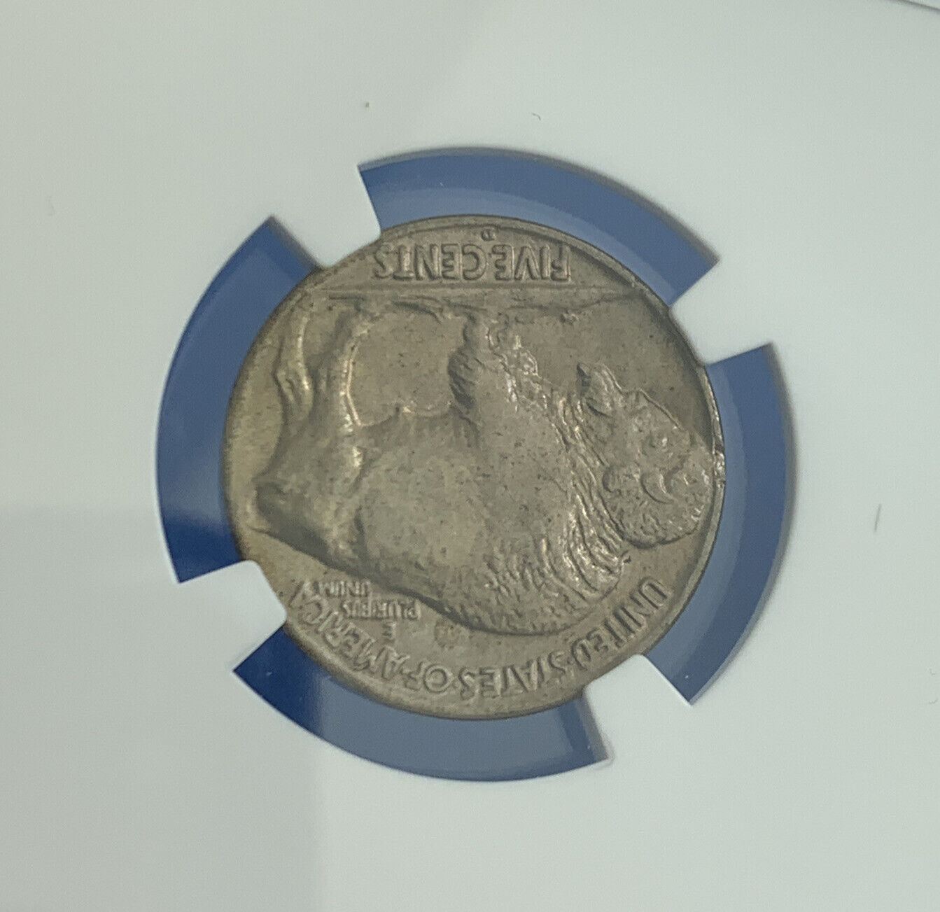 1928 D Denver 5c Buffalo Nickel NGC MS 63 Better Date American Coin