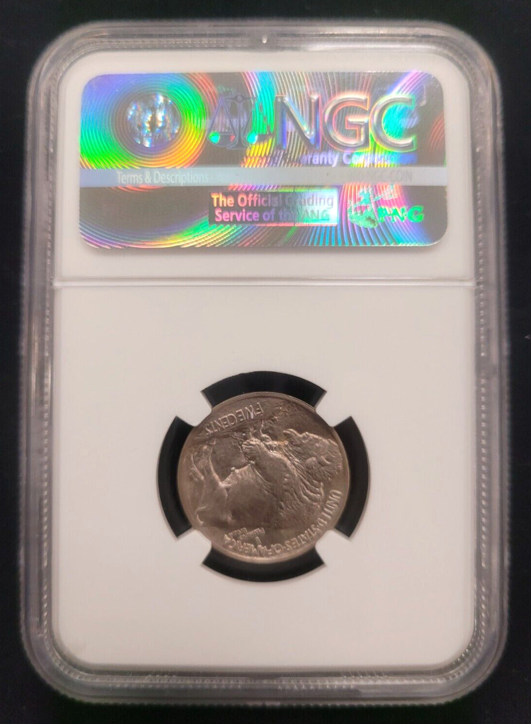 1913 P 5c Philadelphia Mint NGC MS66 Type I Buffalo Nickel Rare American Coin