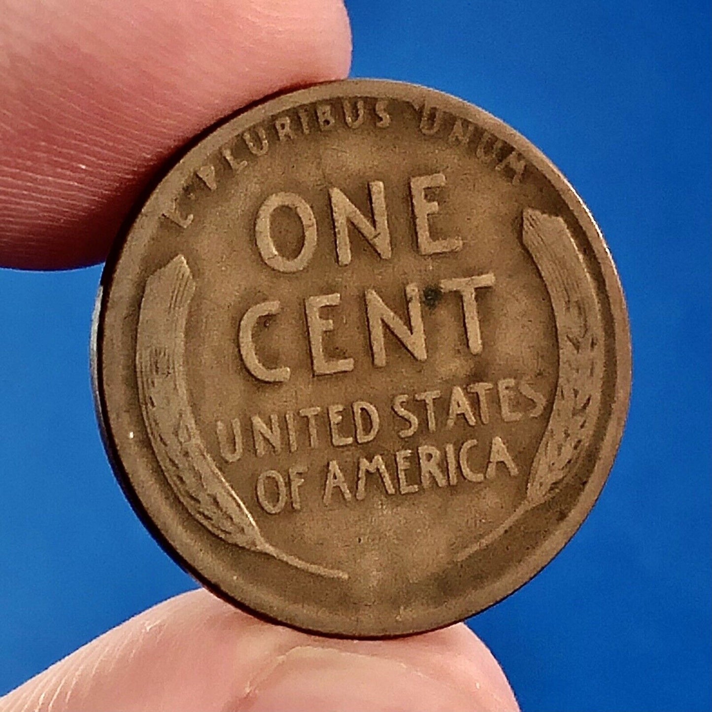 1924 D Lincoln Cent Wheat Ears Reverse Key Rare Better 1c Cent Penny Denver Coin