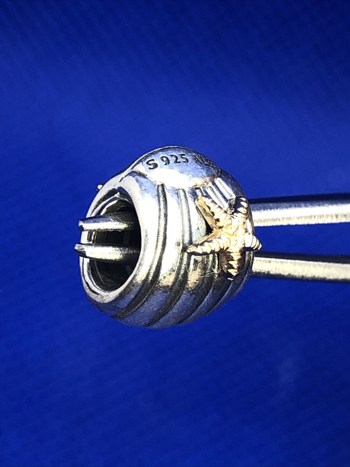 PANDORA ALE Two-Toned 925 Sterling 14K Gold Seashell Starfish Bead Charm 790249