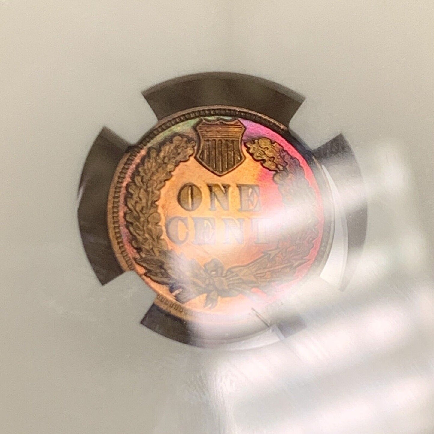 1901 P Proof Bronze Indian Head Cent Altered Color NGC Proof Details Coin