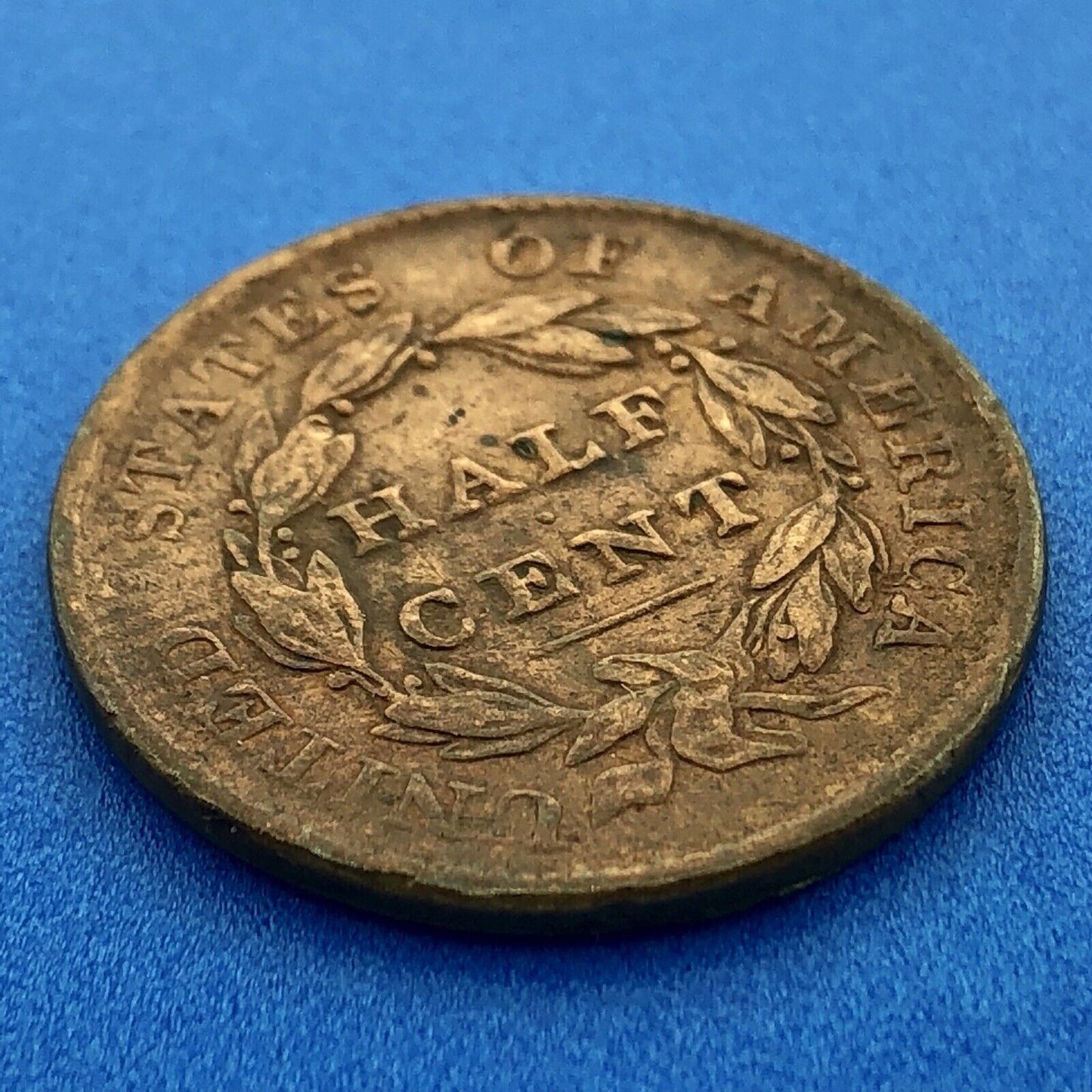 1828 P Classic Head Thirteen Stars Copper Half Cent Early US Copper XF Details