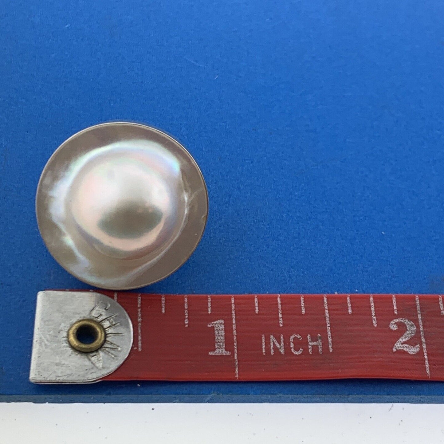 Gorgeous 14k Yellow Gold Large White Blister Mabe Pearl Omega Back Stud Earrings