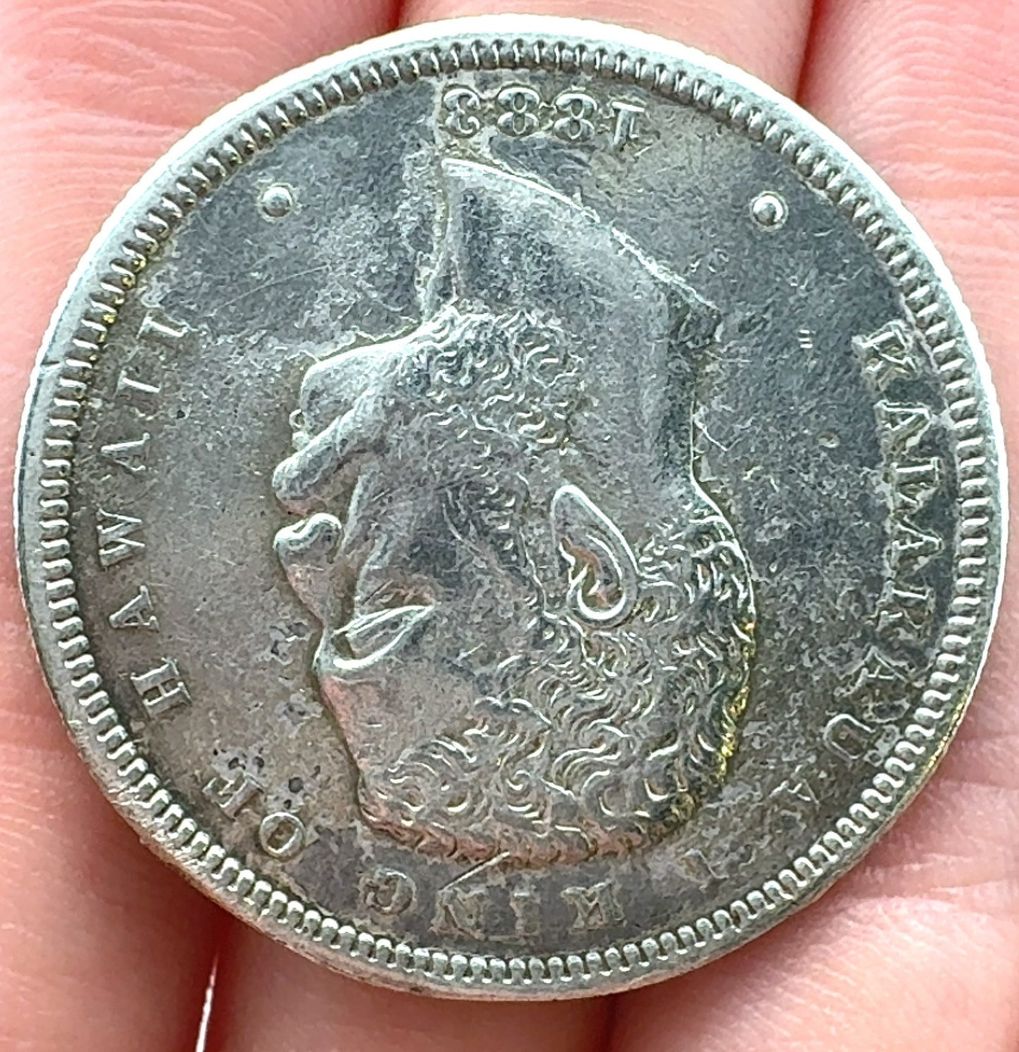 1883 P Kalakaua 1 Original Kingdom of Hawaii 50 Cent Half Dollar Coin