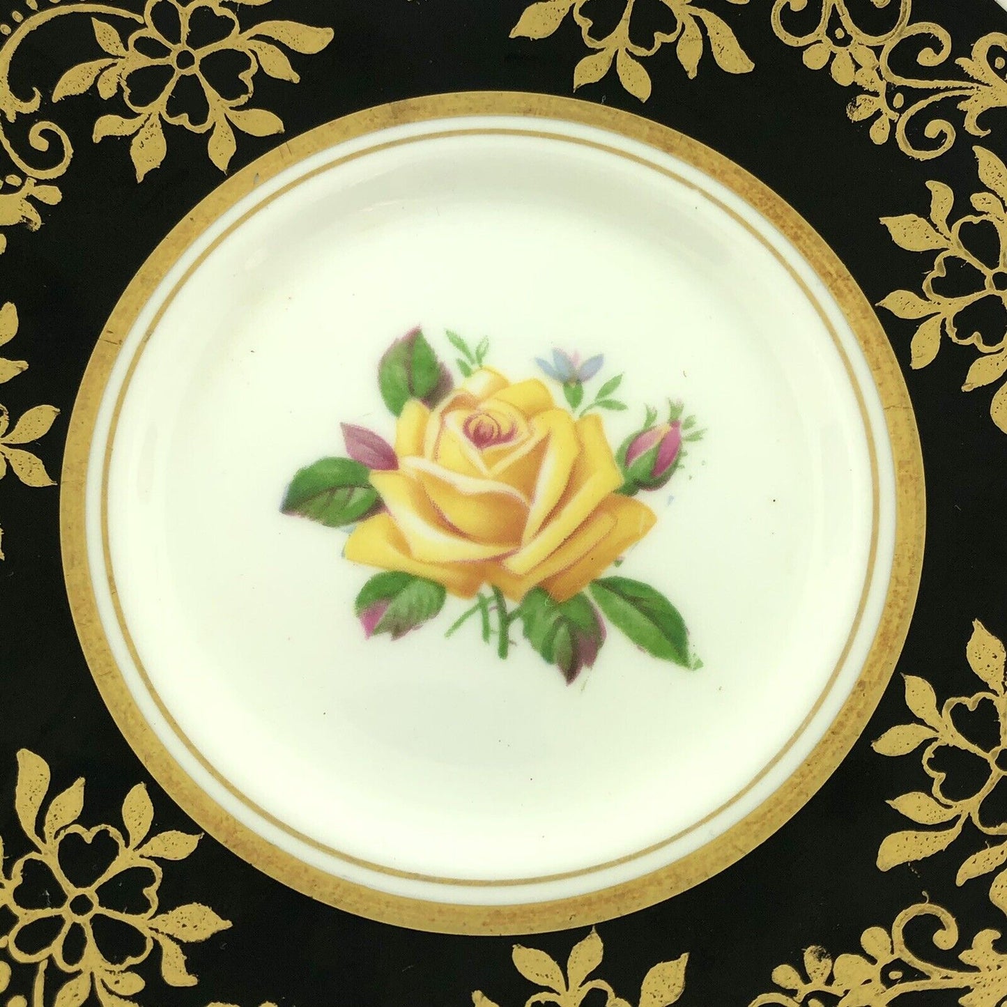 Royal Stafford English Bone China Yellow Rose Black Gold Floral Tea Cup/Saucer