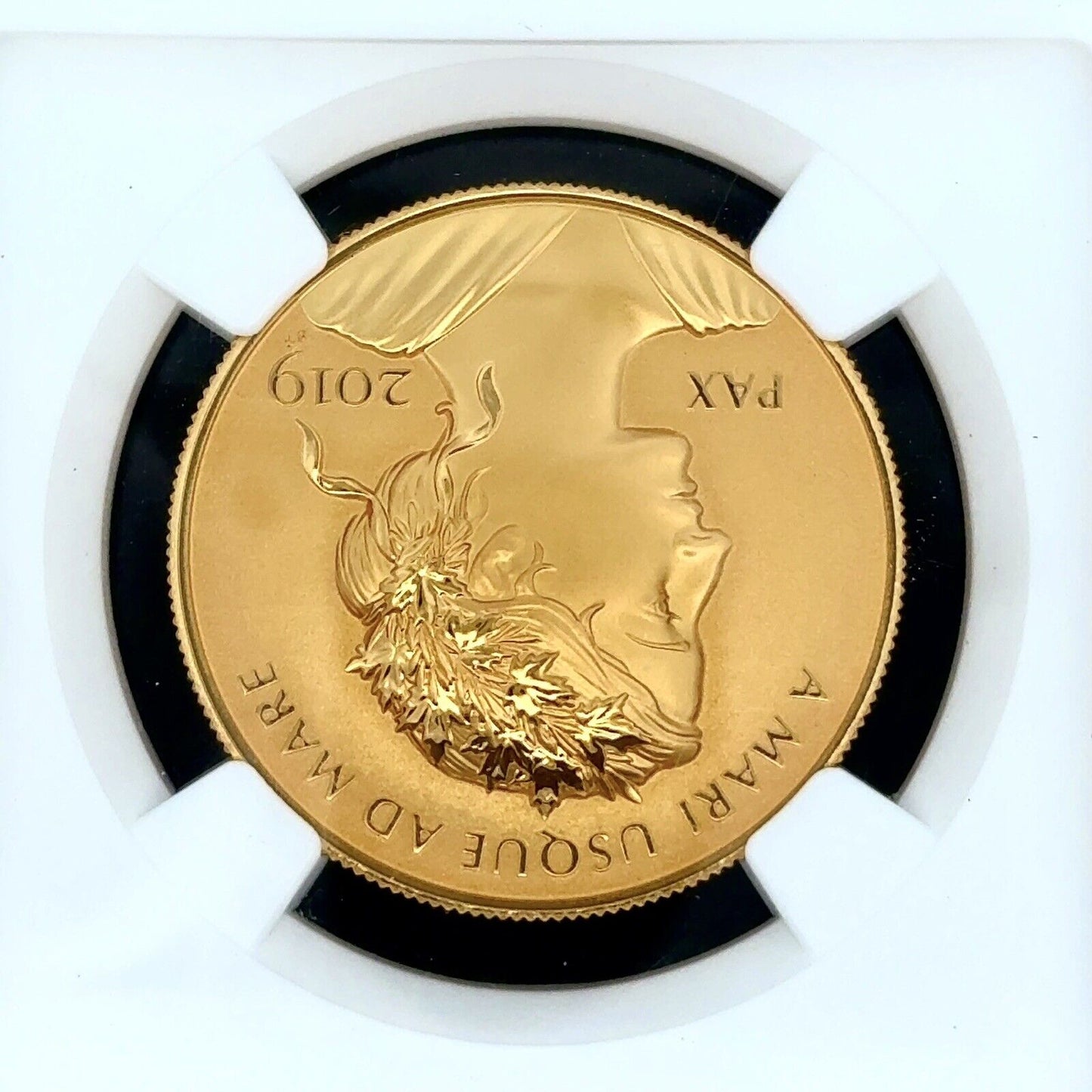 2019 1oz Canada Peace & Liberty High Relief NGC PF70 REV PF Official Gold Medal