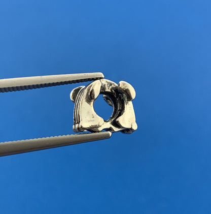 Chamilia 925 Sterling Silver Fleur De Lis Symbol France Slide Bracelet Charm