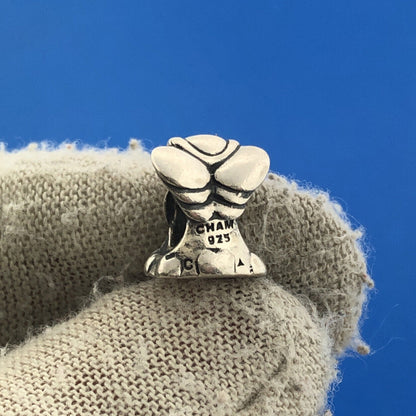 Chamilia 925 Sterling Silver Angel Slide Bracelet Bead Charm