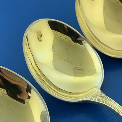 Tiffany & Co Vermeil Gold Washed Sterling Silver 925 Audubon Cream Soup Spoon
