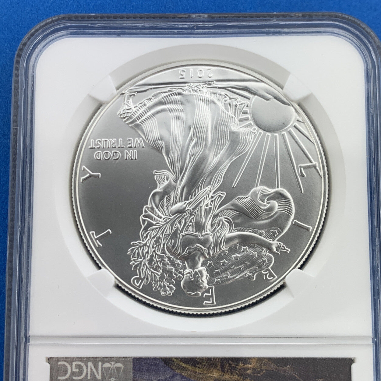 2015 American Silver Eagle 999 Fine 1 Oz Silver NGC MS69 First Release Eagle Lab