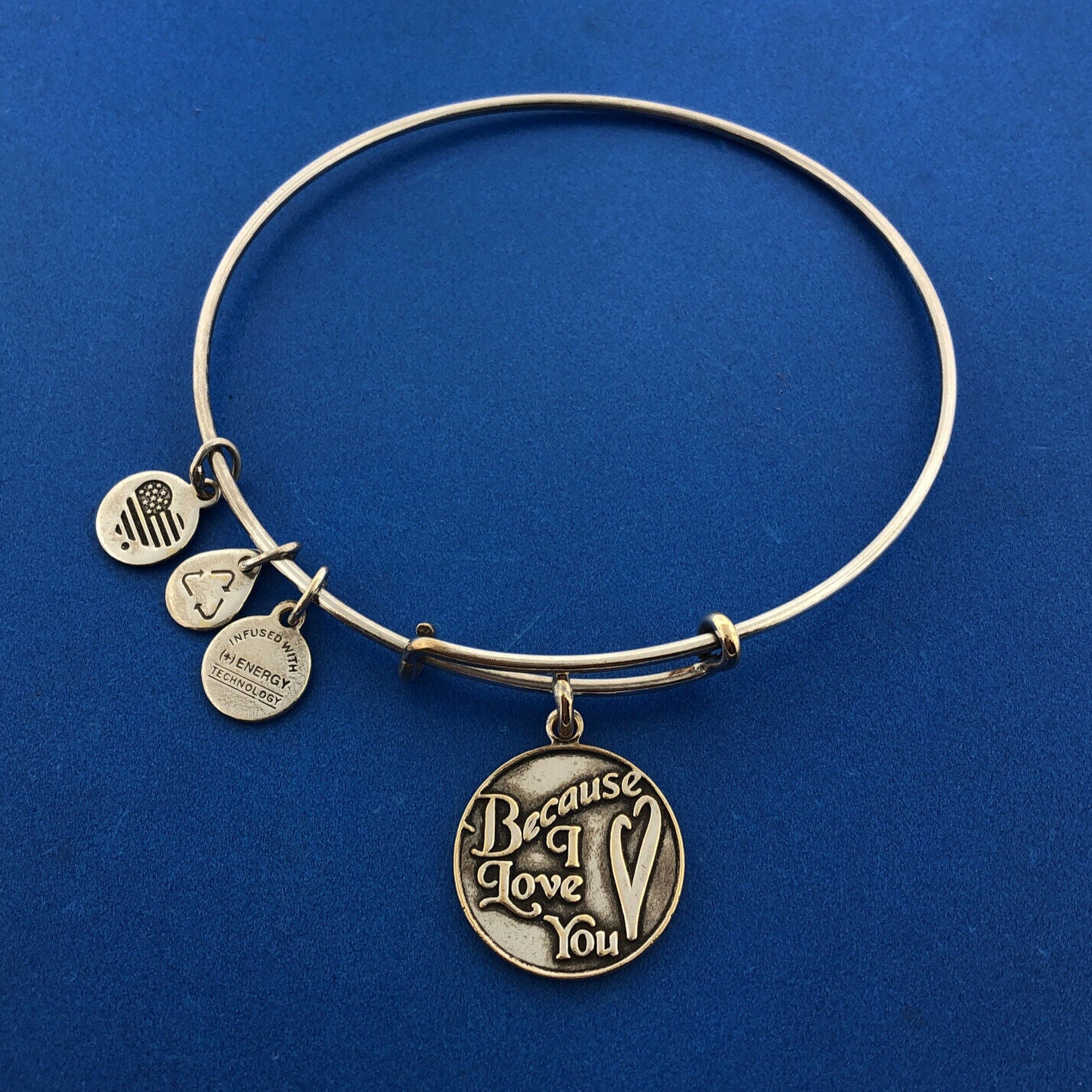 2016 ALEX And ANI Bronze Toned Because I Love You Wire Adjustable Charm Bracelet