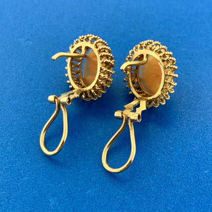 Gorgeous 14k Yellow Gold Orange Cameo Shell Rope Accent Omega Back Stud Earrings