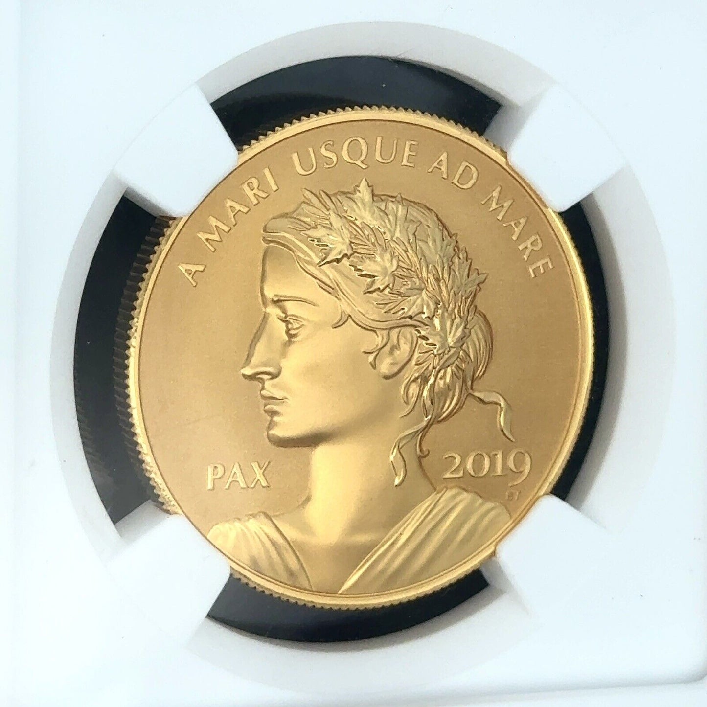 2019 1oz Canada Peace & Liberty High Relief NGC PF70 REV PF Official Gold Medal