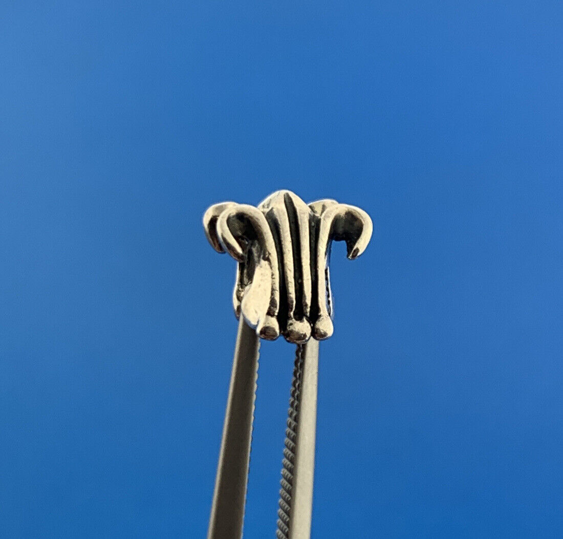 Chamilia 925 Sterling Silver Fleur De Lis Symbol France Slide Bracelet Charm