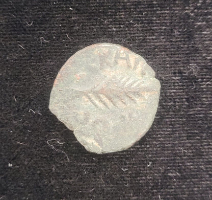 59-62 AD Porcius Festus Bronze Prutah of Judea Ancient Roman Coin *PRICED BY CAM