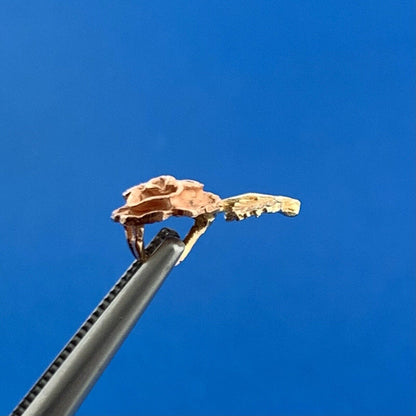 Designer OR 14k Yellow & Rose Gold Floral Rose Flower Precious Small Pendant