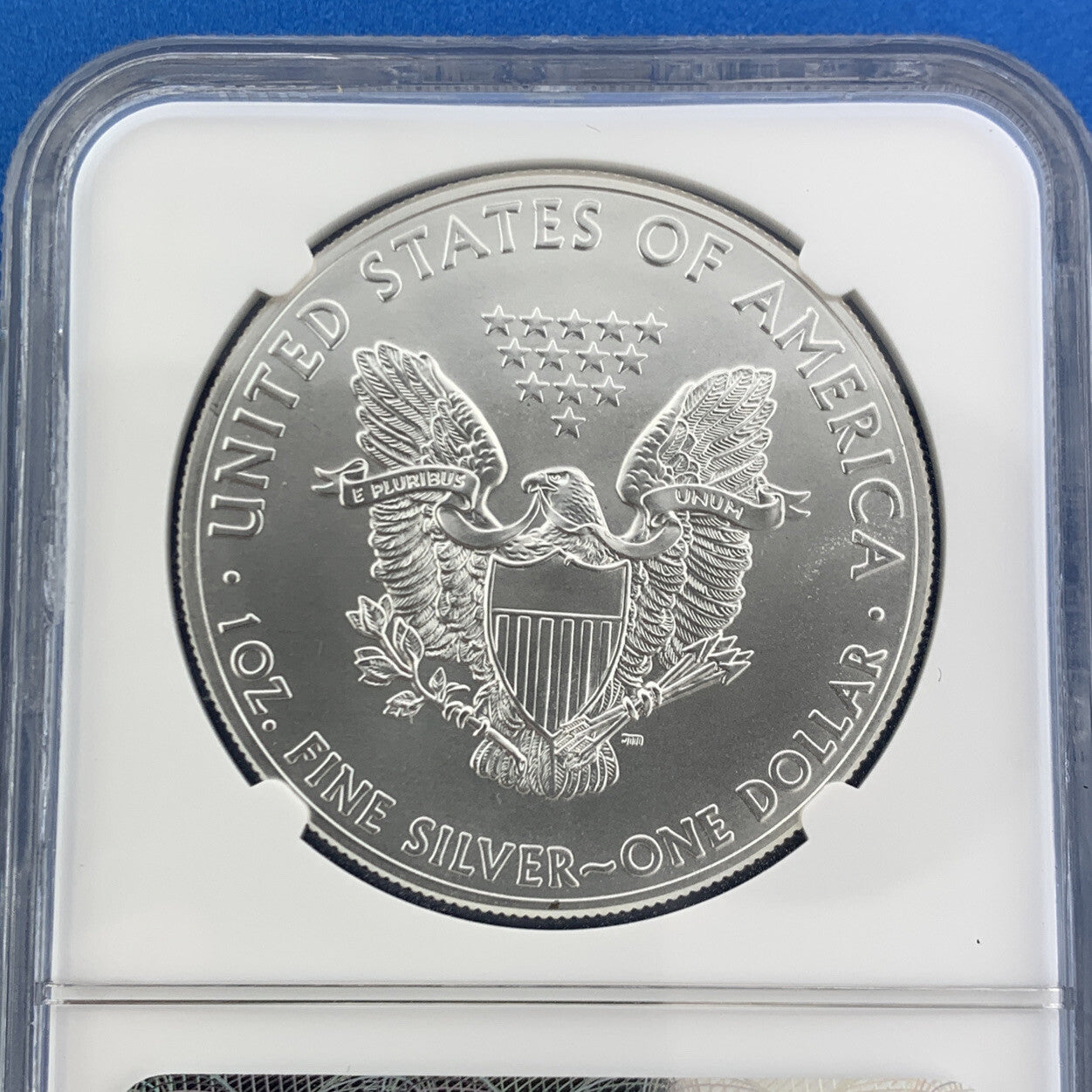 2015 American Silver Eagle 999 Fine 1 Oz Silver NGC MS69 First Release Eagle Lab