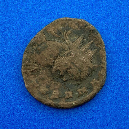 244-249 AD Philippus I The Arab Otalcilia Severa Ancient Roman Bronze Coin