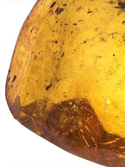 Vintage Large Orange Amber Crystal Healing Statement Pendant