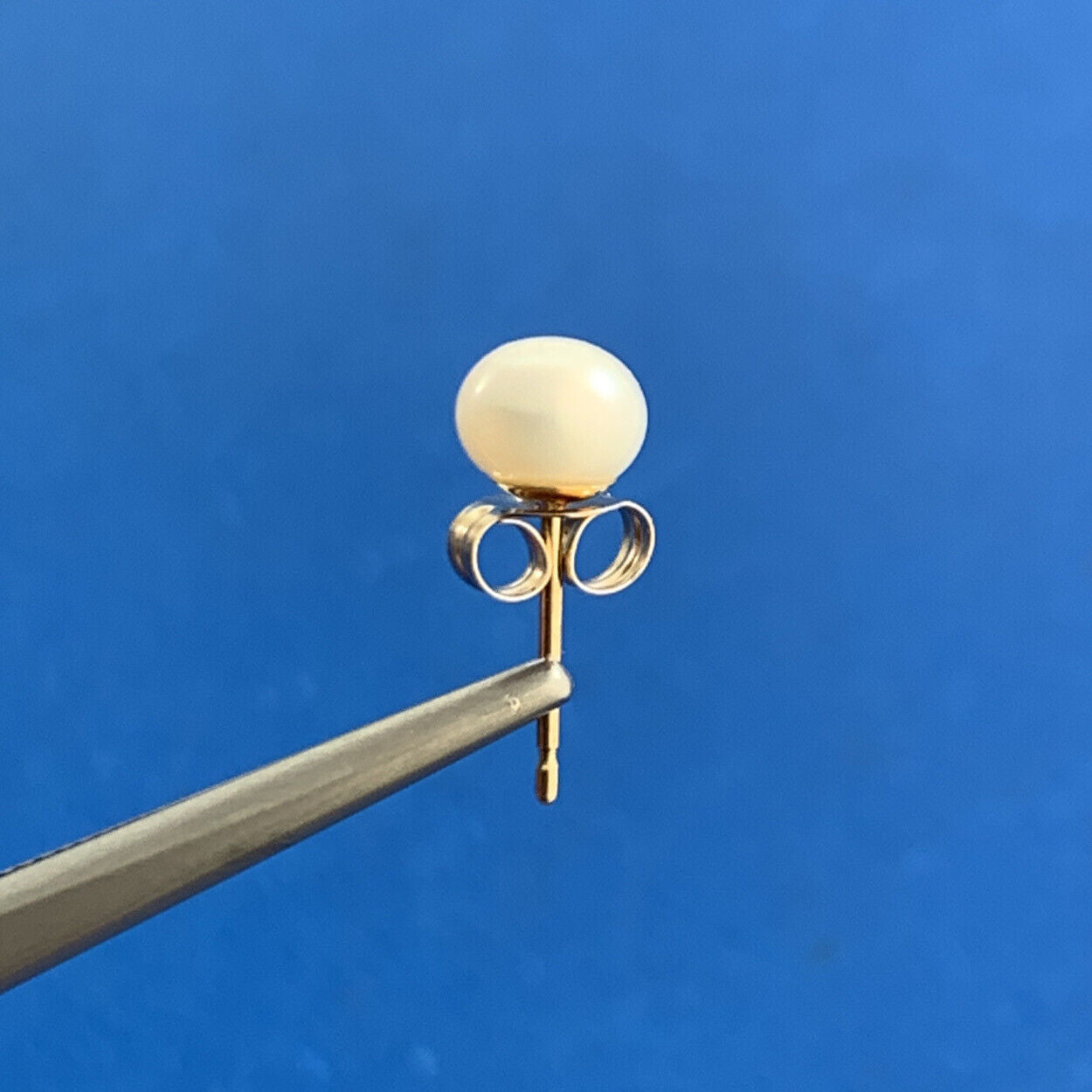 Designer OPC 14K Yellow Gold White Pearl Stud Earrings