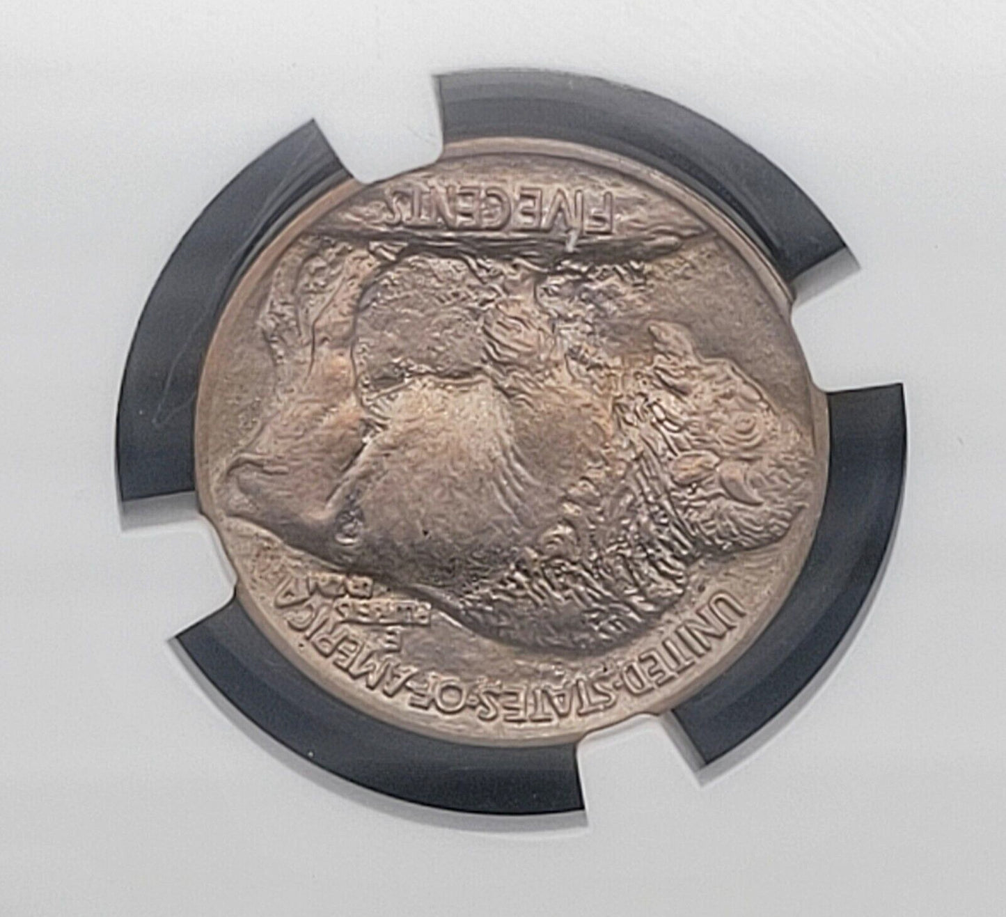 1913 P 5c Philadelphia Mint NGC MS66 Type I Buffalo Nickel Rare American Coin