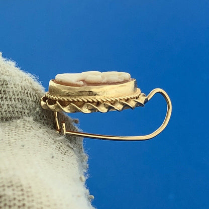 Gorgeous 14k Yellow Gold Orange Peach Cameo Shell French Wire Hook Earrings