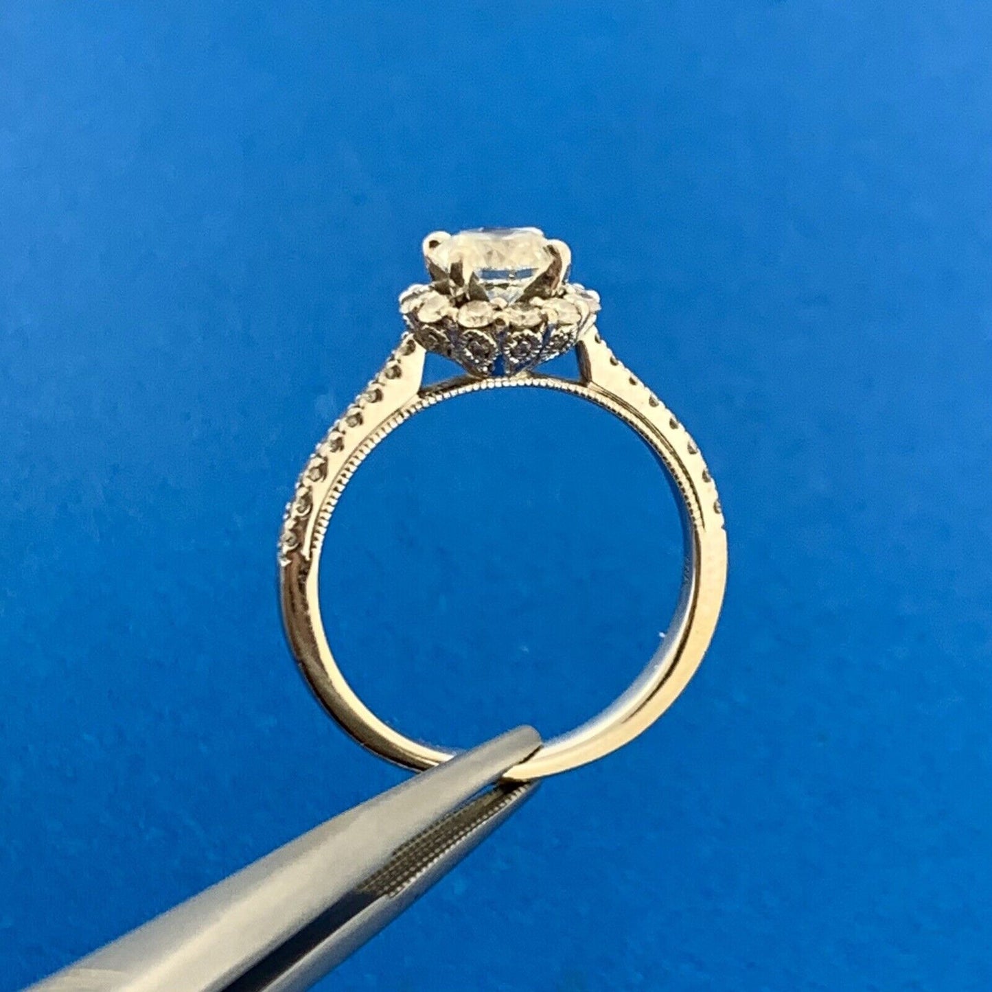 Jared Designer Natalie K 14k White Gold Round GIA Diamond Engagement Ring Size 7