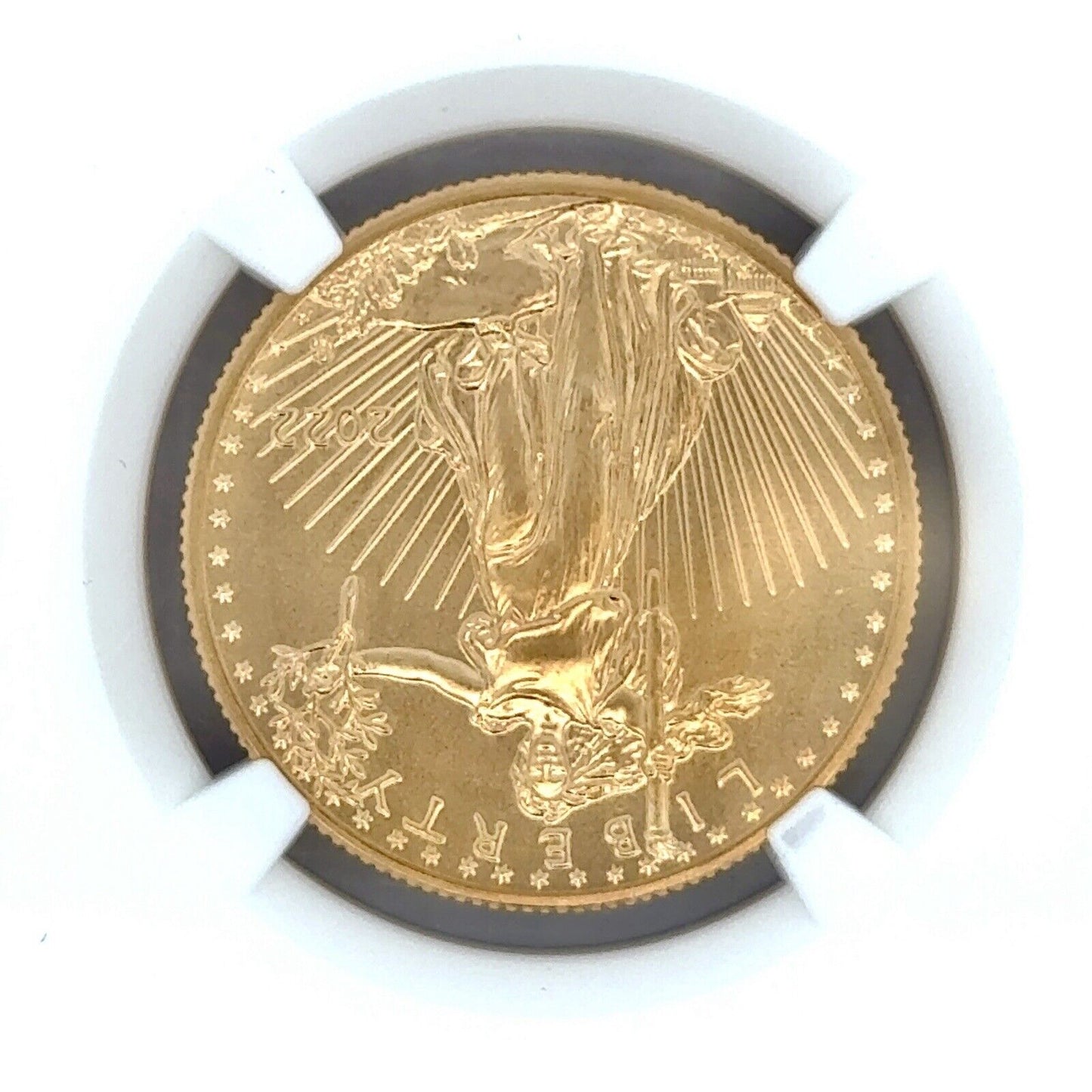 2022 1/2 oz American Gold Eagle MS-70 NGC (Earle Release) Mike Castle Signature