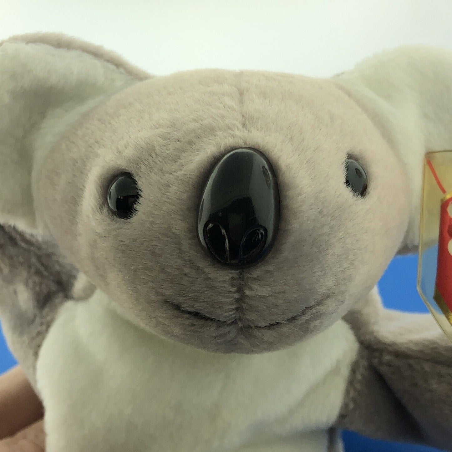 1996 TY Beanie Baby Mel The Koala Bear Mint Condition Retired Error Tag - 4162