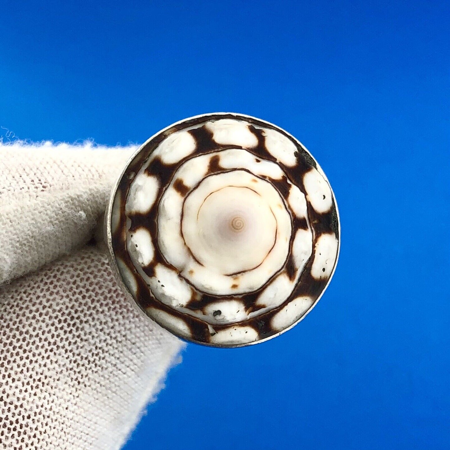 Awesome 925 Sterling Silver Spiral Shell Round Top Statement Adjustable Ring