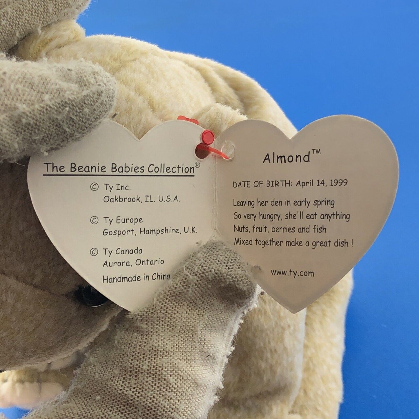 1999 TY Beanie Baby Almond The Bear DOB 04-18-1999 Rare Tag Error Mint - 4246