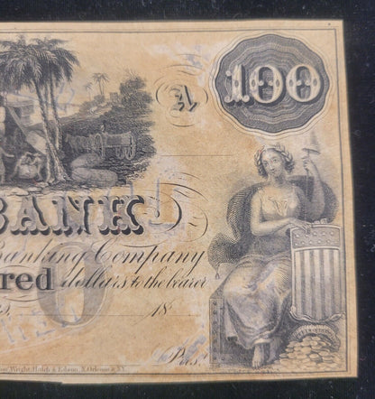 1800s $100 Canal Bank, New Orleans, Louisiana Obsolete Currency Paper Bank Note
