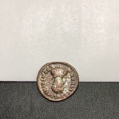 Licinius II A.D. 317-324 Roman AE Bronze Follis Campgate Reverse