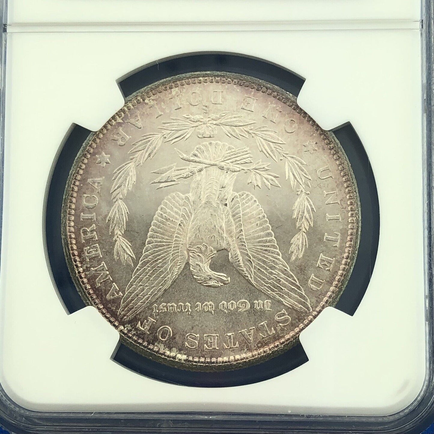 1880 S Morgan Silver Dollar Better Key San Francisco Sunset Tones NGC MS64 Coin