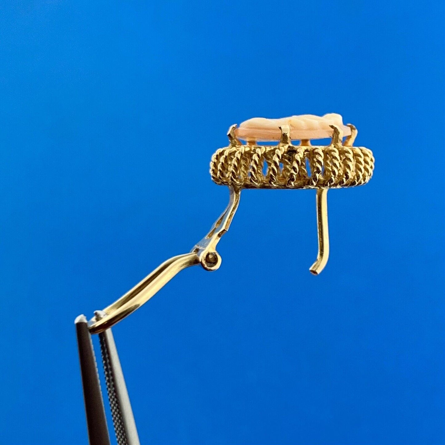 Gorgeous 14k Yellow Gold Orange Cameo Shell Rope Accent Omega Back Stud Earrings